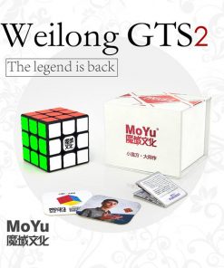 Moyu Weilong GTS2
