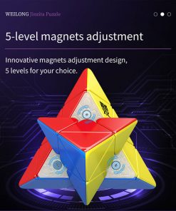 moyu-weilong-pyraminx-magnet-adjustment
