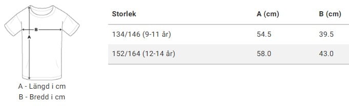 Storlekstabell tonåring